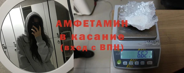 индика Алзамай