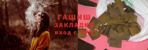 индика Алзамай