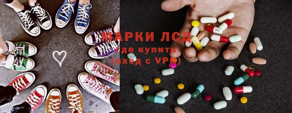 индика Алзамай