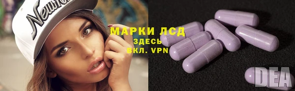 индика Алзамай