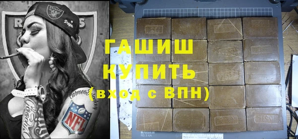 индика Алзамай