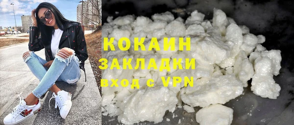 индика Алзамай
