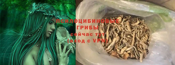 индика Алзамай