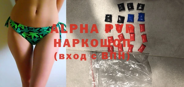 стаф Алексин