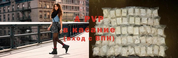 стаф Алексин