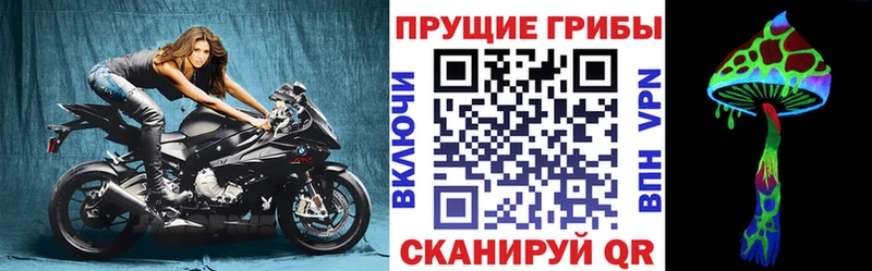 купить наркотики сайты  Новая Ляля  Галлюциногенные грибы прущие грибы 